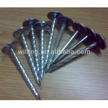 Clavos para techos galvanizados